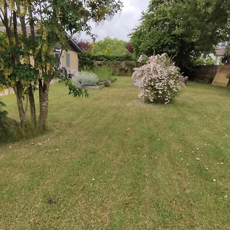 Kragenaeshus * Torrig