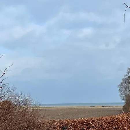 Kragenaeshus * Torrig