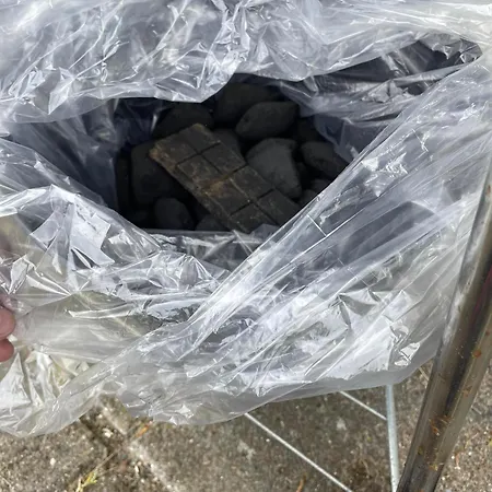 Kragenaeshus * Torrig