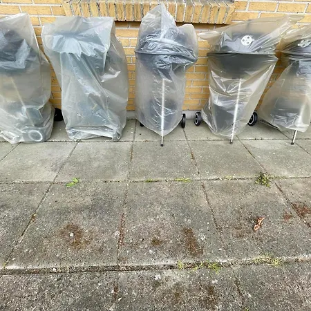 Kragenæshus * Torrig