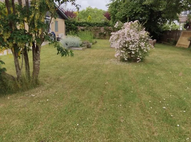 Kragenaeshus * Torrig