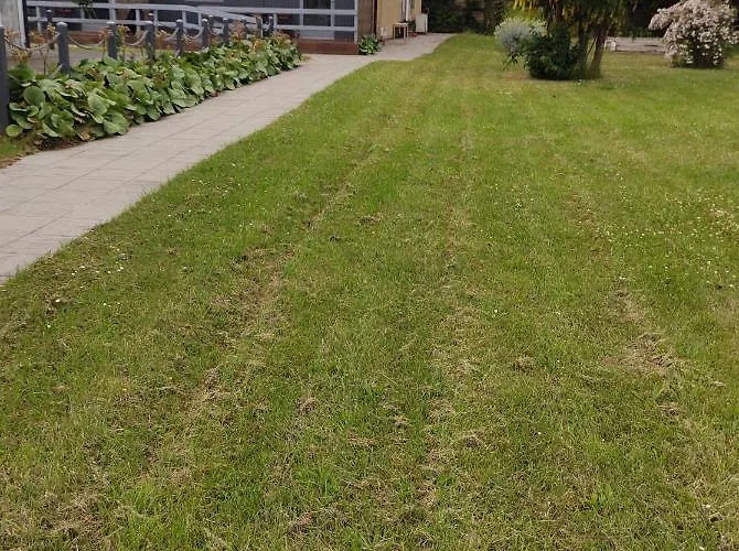 Kragenaeshus Motel Torrig