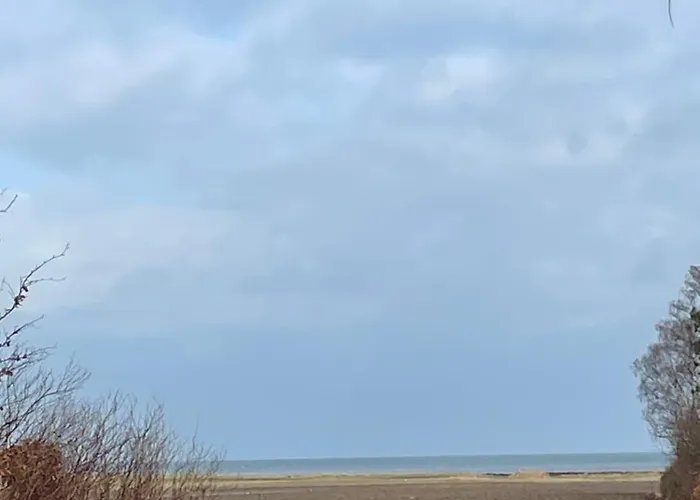 Kragenaeshus * Torrig