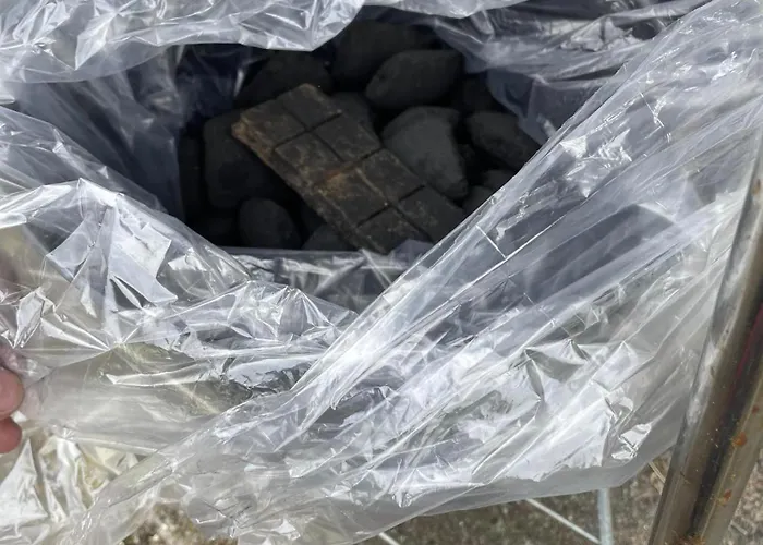 Kragenaeshus * Torrig