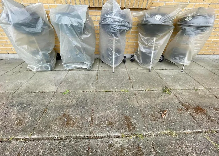 Kragenaeshus * Torrig